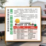 星洲嘉年华童话故事赛-宽二郑楷璁夺冠