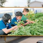 环保小尖兵参与厨余制肥料-宽二种蔬果越肥越美