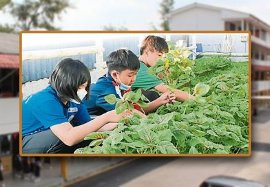 环保小尖兵参与厨余制肥料-宽二种蔬果越肥越美