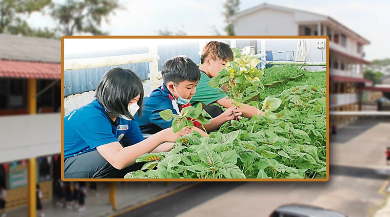 环保小尖兵参与厨余制肥料-宽二种蔬果越肥越美